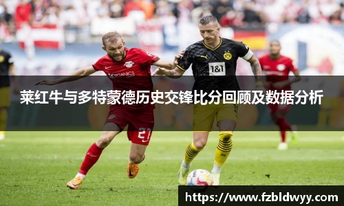 莱红牛与多特蒙德历史交锋比分回顾及数据分析