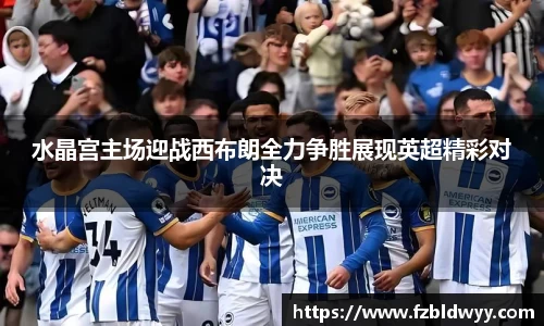 球速体育