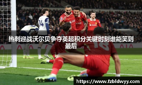 球速体育官网