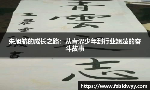 球速体育官网